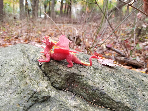 Nature Preserve «Lorrimer Sanctuary», reviews and photos, 790 Ewing Ave, Franklin Lakes, NJ 07417, USA