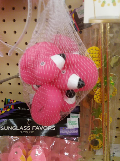 Craft Store «Hobby Lobby», reviews and photos, 210 Porters Vale Blvd, Valparaiso, IN 46383, USA