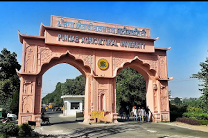 Punjab Agricultural University image