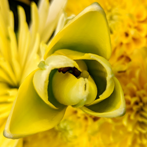 Grocery Store «Safeway», reviews and photos, 3499 Sweet Air Rd, Phoenix, MD 21131, USA