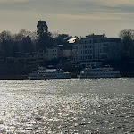 Photo n°4 de l'avis de Claudia.e fait le 26/02/2022 à 20:52 sur le  Restaurant Rheingenuss à Königswinter