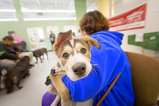 Pet Resource Center of Kansas City image