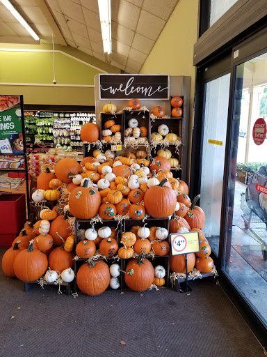 Grocery Store «Winn-Dixie», reviews and photos, 3850 N 46th Ave, Hollywood, FL 33021, USA