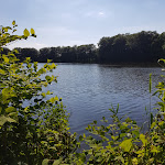 Photo n°1 de l'avis de Martina.a fait le 25/06/2021 à 21:00 sur le  Seeterrassen Weddelbrook à Weddelbrook