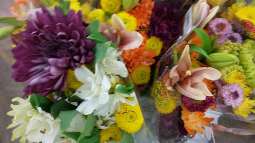 Supermarket «ALDI», reviews and photos, 3018 Matlock Rd, Mansfield, TX 76063, USA