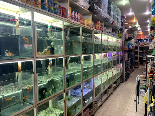 حديقه المهند