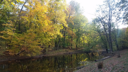 Nature Preserve «Wilma Quinlan Nature Preserve», reviews and photos, Mathews Ave, New Britain, PA 18901, USA