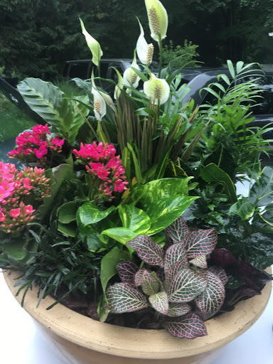 Florist «Station Florist», reviews and photos, 5 Babbitt Rd, Bedford Hills, NY 10507, USA