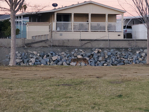 Golf Course «Dad Miller Golf Course», reviews and photos, 430 N Gilbert St, Anaheim, CA 92801, USA