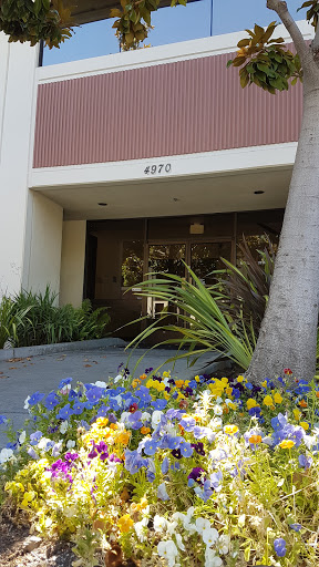 Portnov Computer School image