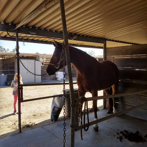 Horse boarding stable Anaheim