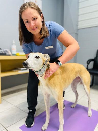 Orillia and District Veterinary Services image