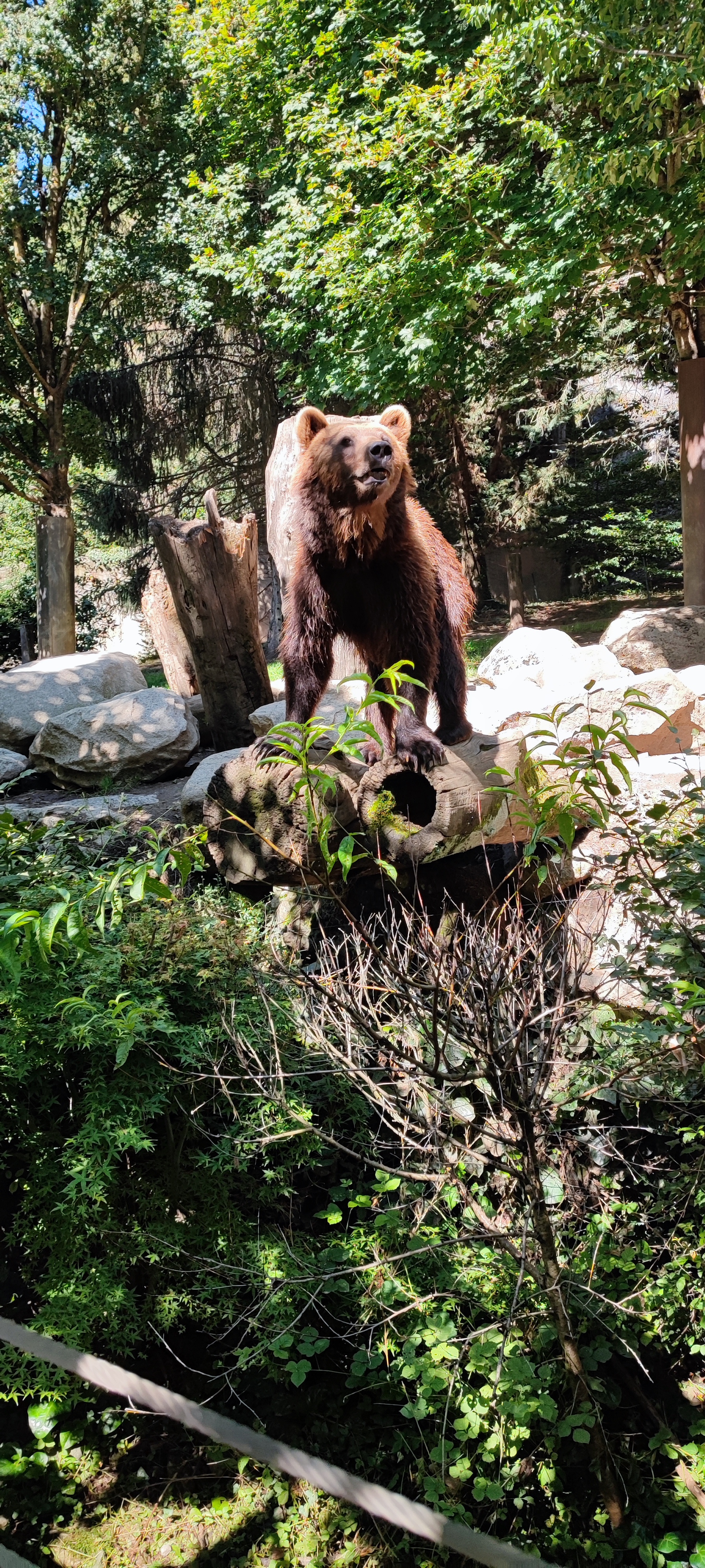 Photo n° 3 de l'avis de rachel. fait le 10/07/2022 à 09:02