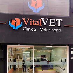 VITALVET