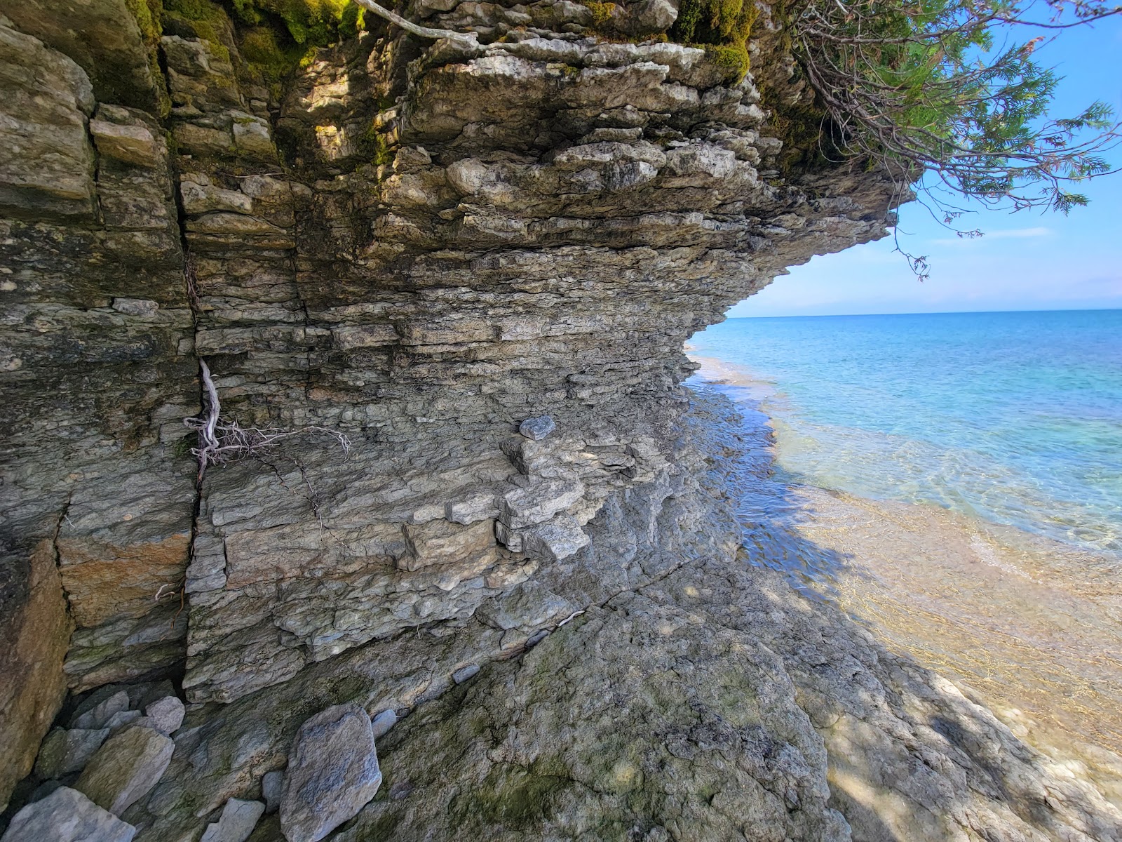 Foto von Fossil Ledges Beach befindet sich in natürlicher umgebung