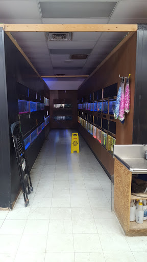 Pet Store «Inland Reef Pet Store», reviews and photos, 817 Cross Lanes Dr, Cross Lanes, WV 25313, USA