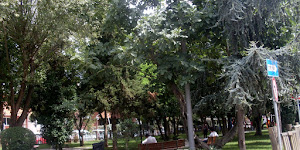 Koşuyolu Parkı