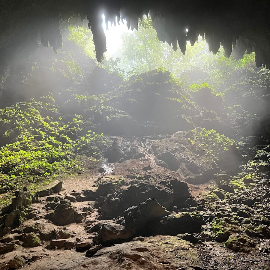 Cavernas del Rio Camuy National Park