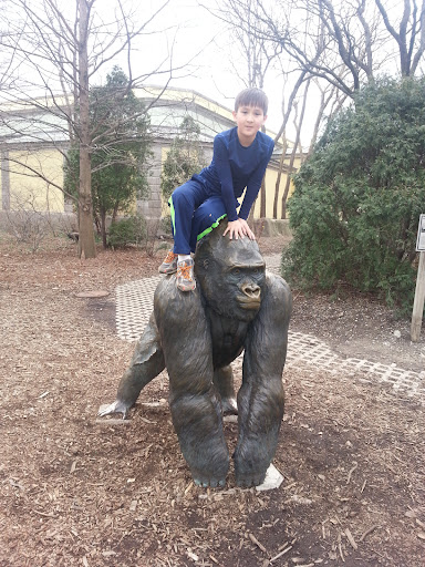 Gorilla Statue and Photo Stop, Brookfield, IL 60513