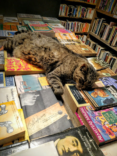 Building Materials Store «Big Reuse Brooklyn», reviews and photos, 69 9th St, Brooklyn, NY 11215, USA