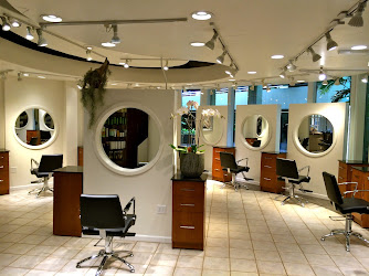 Paul Brown Salon