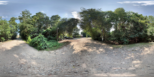 Yoga Studio «Houston Yoga Ayurvedic Wellness Center LLC», reviews and photos, 13602 Kluge Rd, Cypress, TX 77429, USA