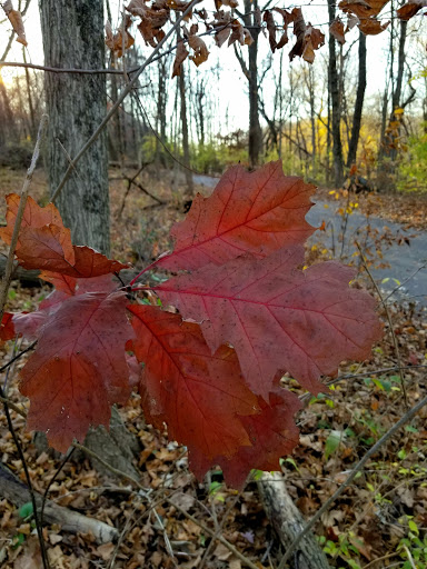 Nature Preserve «Hoover Forest Preserve», reviews and photos, 11285 W Fox Rd, Yorkville, IL 60560, USA