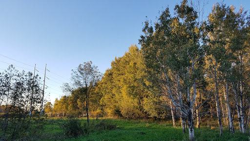 Golf Club «Bunker Hills Golf Club», reviews and photos, 12800 Bunker Prairie Rd NW, Coon Rapids, MN 55448, USA