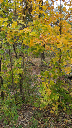 Golf Course «The Oaks Disc Golf Course», reviews and photos, 10847 W La Porte Rd, Mokena, IL 60448, USA