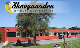 SKOVGAARDEN - ARTHURS OVERNATNING