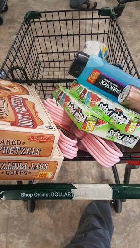 Dollar Store «Dollar Tree», reviews and photos, 7001 Cermak Rd, Berwyn, IL 60402, USA