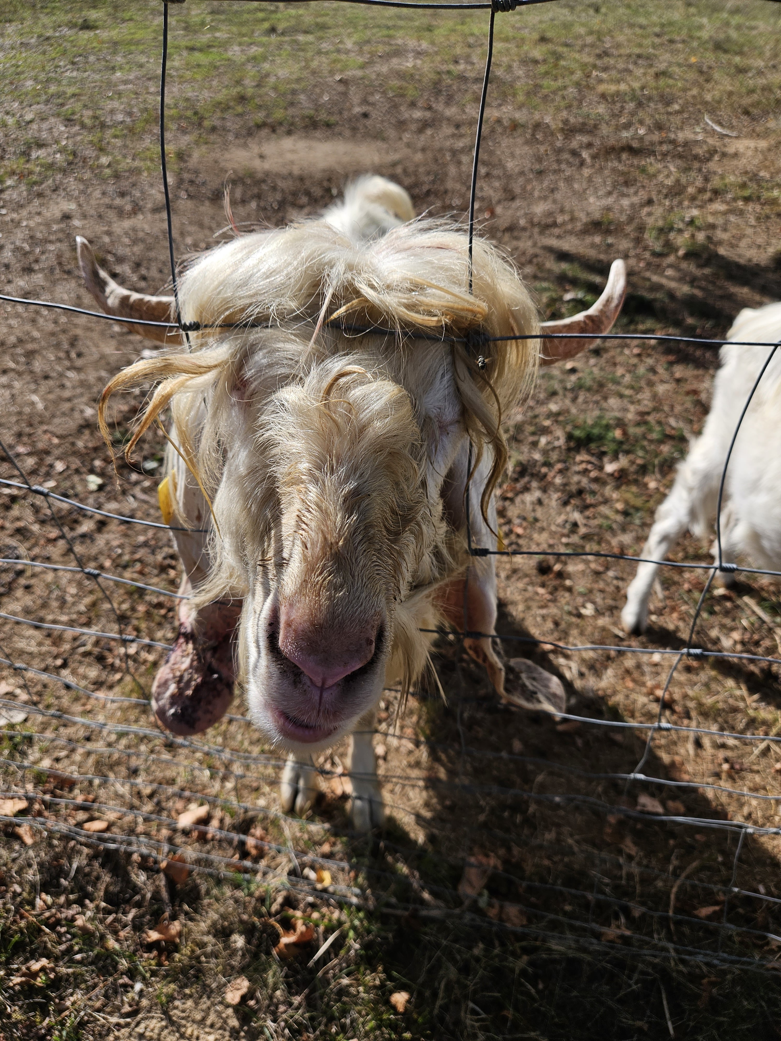 Photo n° 5 de l'avis de Emmanuelle.a fait le 22/09/2023 à 14:59