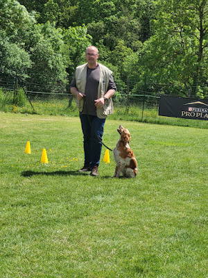 Centre d'éducation et de rééducation canine Laurent MANSAT à Saint-Maurice-Saint-Germain