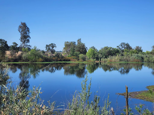 Wildwood Native Park, Wildwood, Madera, CA 93636