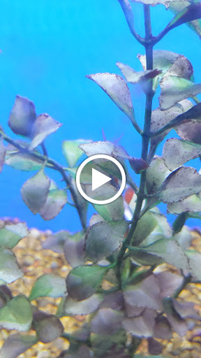 Pet Supply Store «Petco Animal Supplies», reviews and photos, 300 Hylan Dr, Rochester, NY 14623, USA