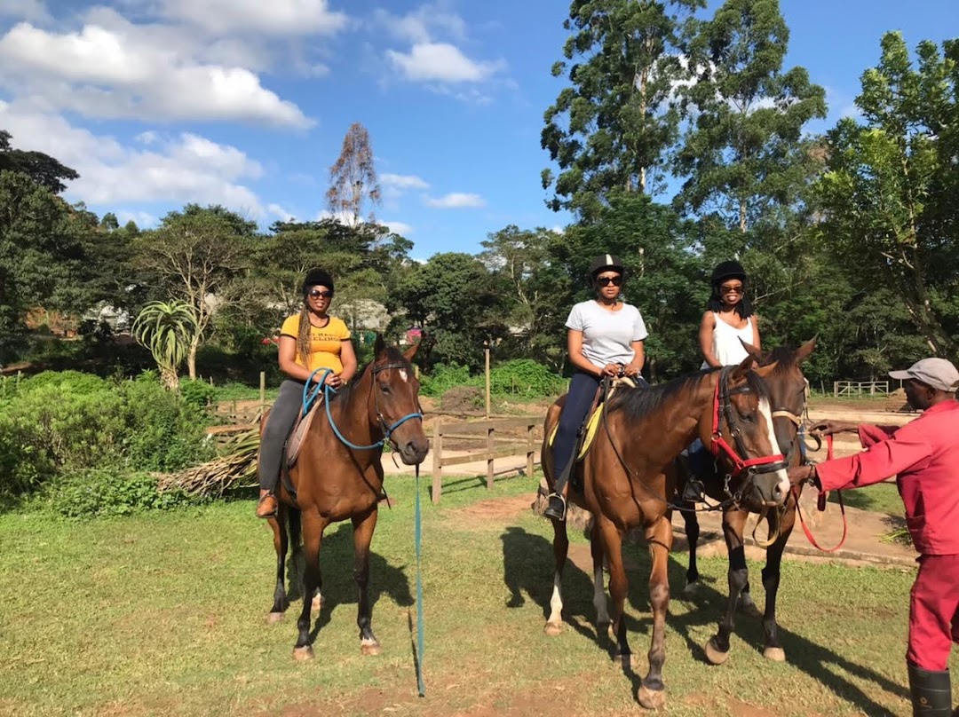 Giba Gorge Horse Trails, Horse Rides, Riding Lessons