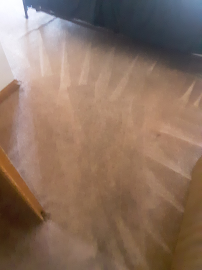 Cardiac Cleaning LLC - Photo 8 - Car repair in Colorado Springs, CO, Colorado Springs