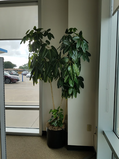 Honda Dealer «AutoNation Honda South Corpus Christi», reviews and photos, 6702 S Padre Island Dr, Corpus Christi, TX 78412, USA