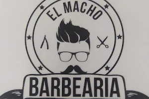 El male Barber image