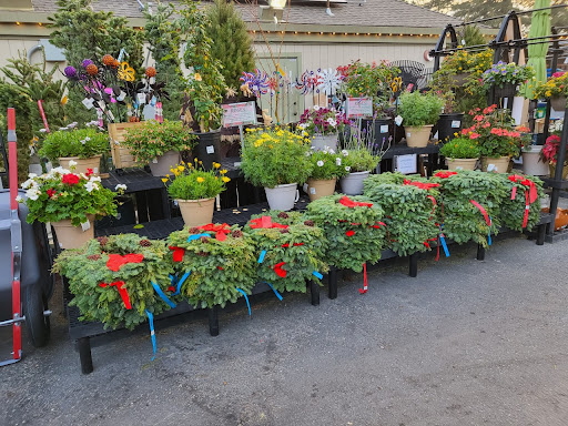 Hardware Store «Marin Ace Hardware», reviews and photos, 180 Merrydale Rd, San Rafael, CA 94903, USA