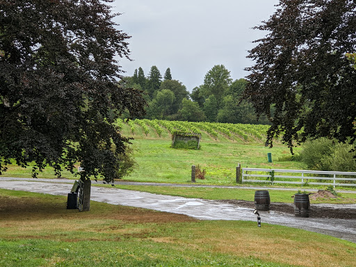 Vineyard «Greenvale Vineyards», reviews and photos, 582 Wapping Rd, Portsmouth, RI 02871, USA