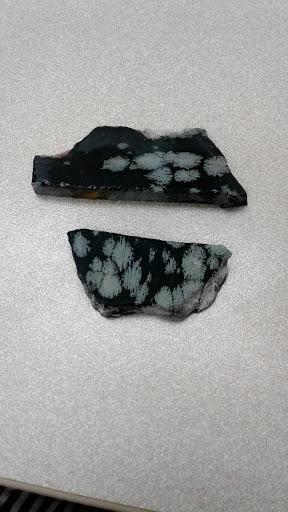 Museum «Harry C Barnes Memorial Nature Center», reviews and photos, 175 Shrub Rd, Bristol, CT 06010, USA