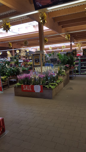 Plant stores Aberdeen