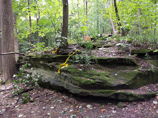 Nature Preserve «Princess Ledges Nature Preserve», reviews and photos, 4361 Spruce Ave, Brunswick, OH 44212, USA