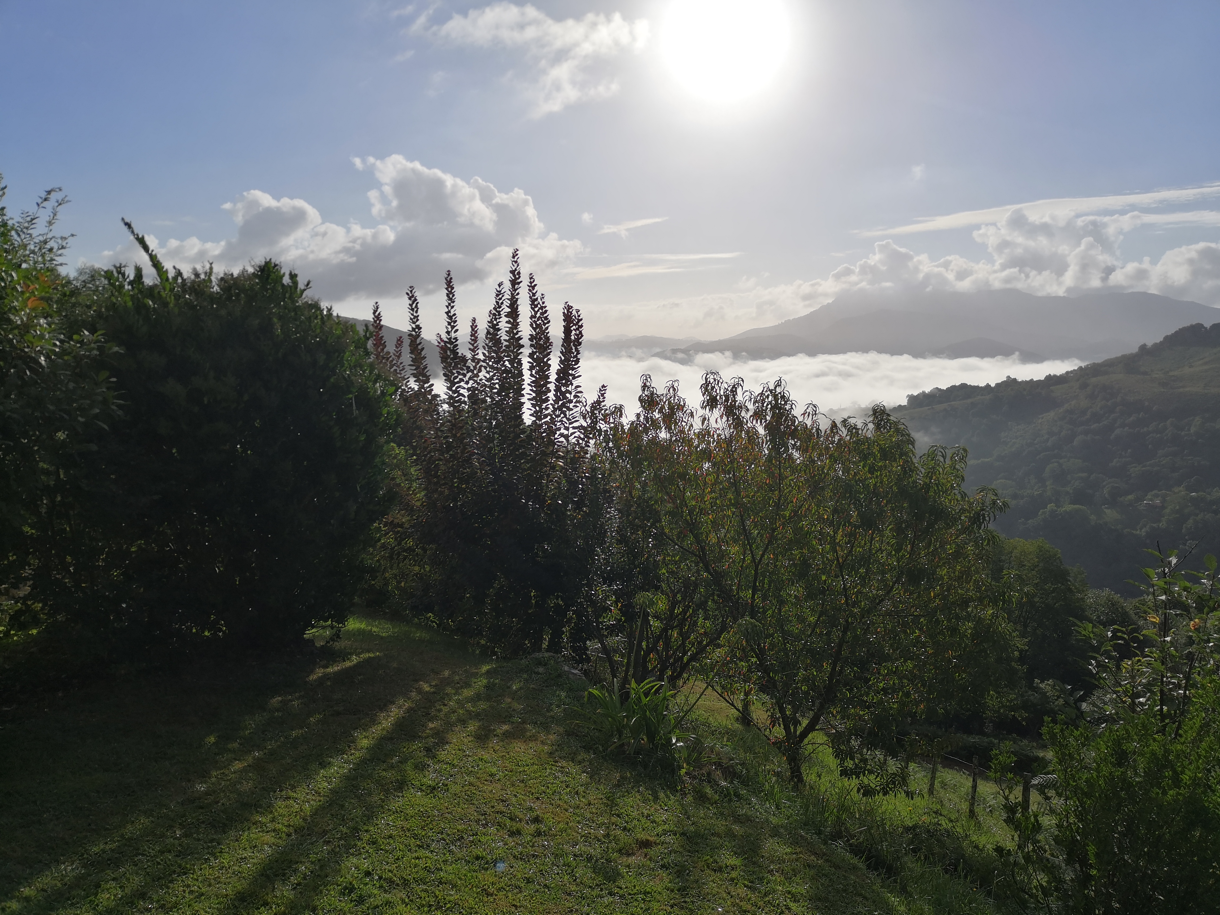 Photo n° 2 de l'avis de Aude.a fait le 23/08/2020 à 18:10