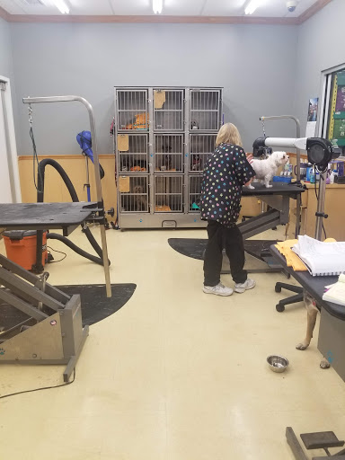 Pet Supply Store «Pet Supplies Plus», reviews and photos, 4923 Sheridan St, Hollywood, FL 33021, USA