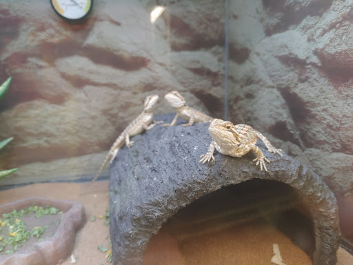 Pet Supply Store «Petco Animal Supplies», reviews and photos, 10383 Reisterstown Rd, Owings Mills, MD 21117, USA