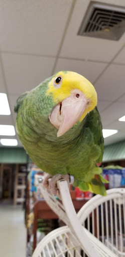 Pet Store «Eastern Shore Pets Inc», reviews and photos, 25244 Lankford Hwy, Onley, VA 23418, USA