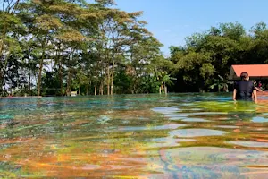 Piscilago- Lago La Ceiba image