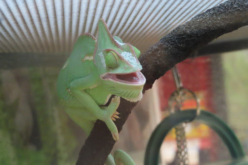 Pet Supply Store «Petco Animal Supplies», reviews and photos, 2140 E Blvd St, Kokomo, IN 46902, USA